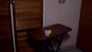Throwing card in apple - carta atraviesa una manzana