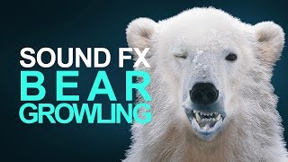 BEAR ROAR | Sound Effects [High Quality] by Sound Effects Pro 67,701 views 5 years ago 3 minutes, 16 seconds