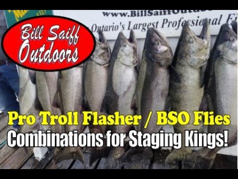 30 lb. MONSTER ONTARIO KING SALMON, Violent Diver Bite, My Best Trolling  Fly Pattern Explained 