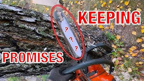 I Promised You To Review This Chainsaw Bar — Here It Is