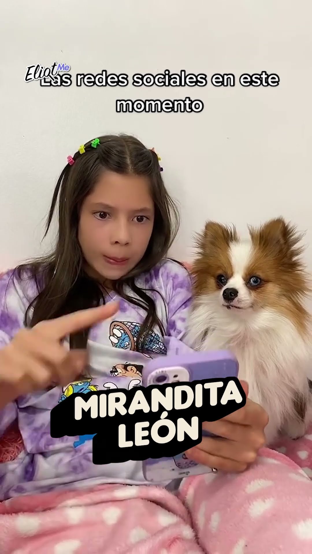 CREADORES QUE TIENEN PERROS POMERANIA: CELESTE AVENTURERA, MARIANA ÁVILA, DAFNNE JM Y MÁS #SHORTS