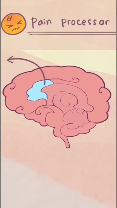 What NEVER Having Sex Does To Your Brain