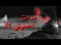 هو انت اخوي الرادود مرتضى الحميداوي هو انت اخوي الرادود مرتضى الحميداوي