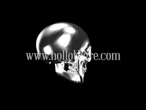 HOLLO There! - 3D Hologram Projection - Skeleton