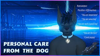 Furry ASMR - Personal Time Together