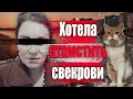 ОНА ХОТЕЛА ОТОМСТИТЬ СВЕКРОВИ \\\ История кота Кузи \\\ Дикие события из Северодвинска