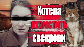 ОНА ХОТЕЛА ОТОМСТИТЬ СВЕКРОВИ \\\ История кота Кузи \\\ Дикие события из Северодвинска