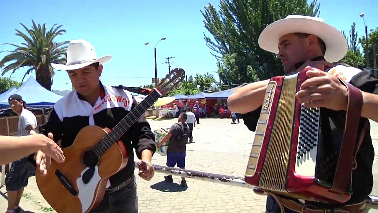 Los Halcones - Rancheras en la Calle En vivo que te harán sentir el verdadero folclore mexicano