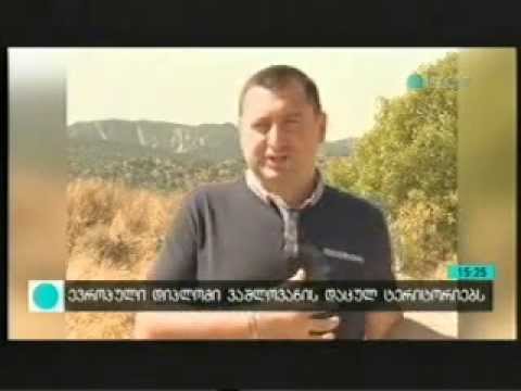 APA:  ვაშლოვანის დაცულ ტერიტორიებს ევროპული დიპლომი გადაეცა