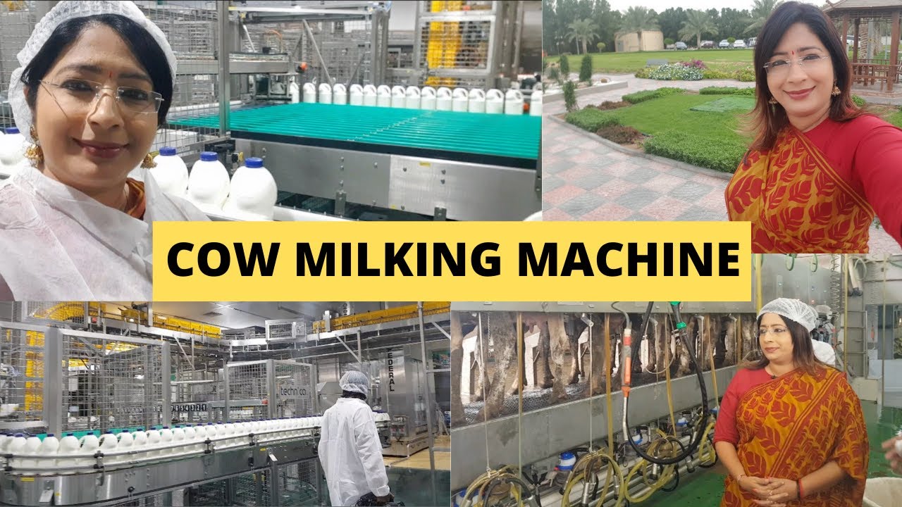 AL RAWABI MILK FACTORYയിലെ ആരും കാണാത്ത വിശേഷങ്ങൾ || Amazing Automatic Cow Milking Machine