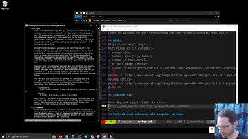 MSYS2 and promiscuous linking