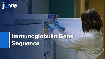 Immunoglobulin Gene Sequence Analysis in CLL| Protocol Preview