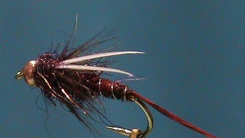 Beginner Fly Tying a Deer Creek Claret Pheasant Tail Prince with Jim Misiura
