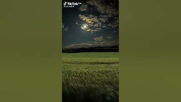 سورة القيامة بصوت الشيخ ياسر الدوسري  #قرآن كريم     @مروان-قرآن