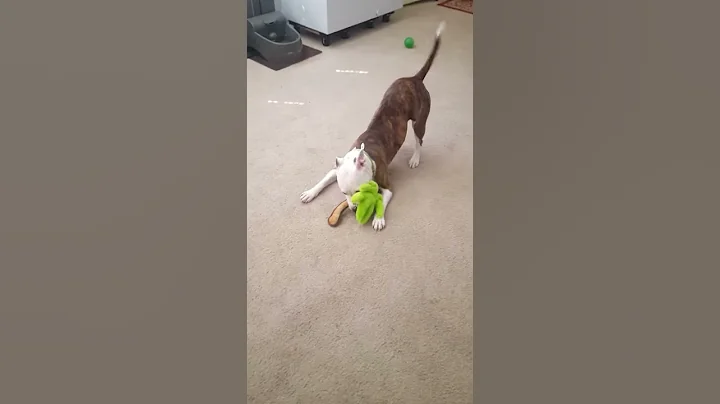 Luna practices for the USA relay team