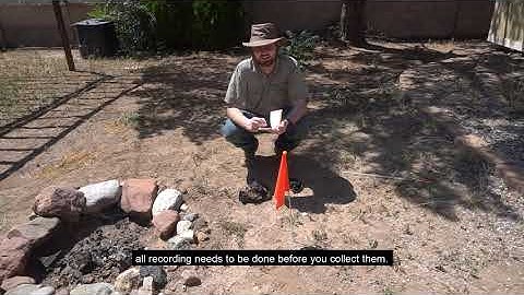 Archaeological Survey