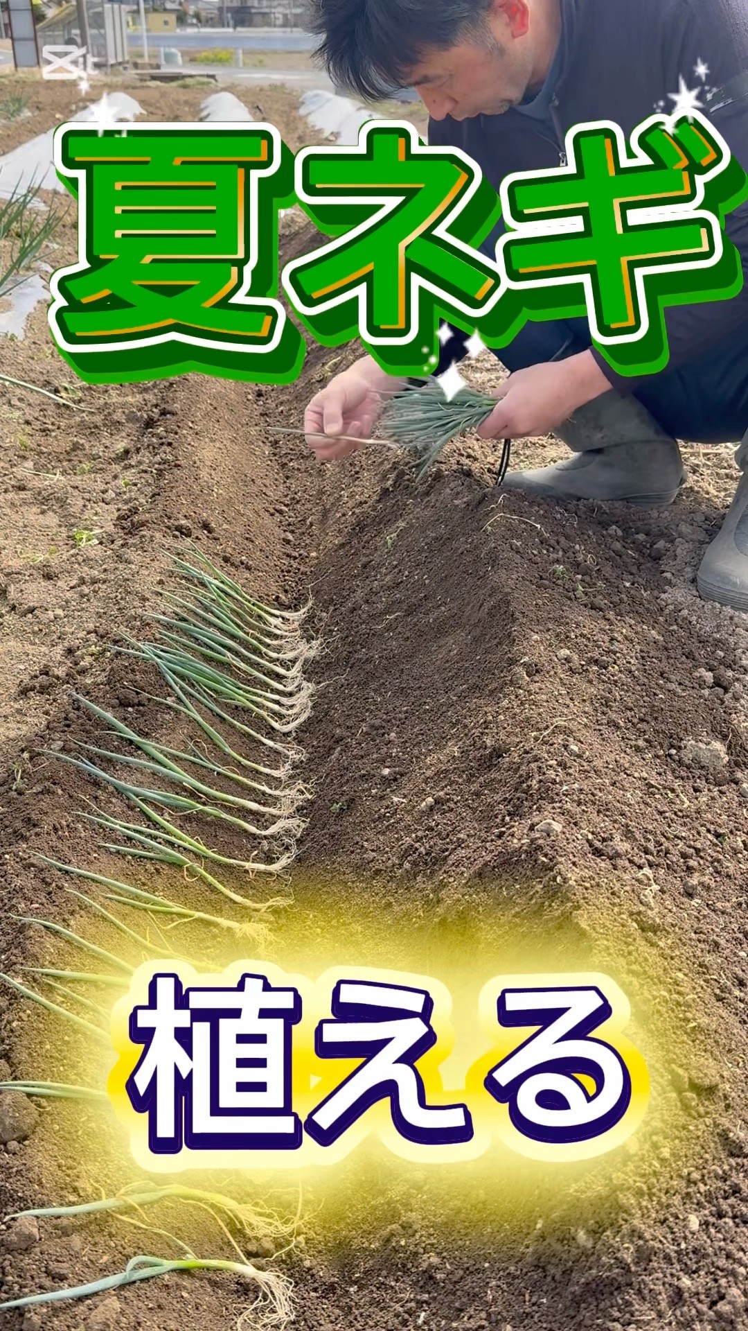 Planting green onions #homegarden - YouTube
