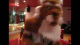 The Riddle Londonfurs June 2008