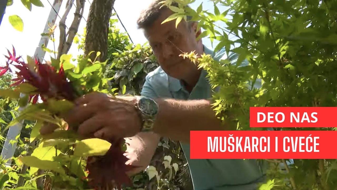 Muškarci koji vole cveće: Pogledajte zašto Milanovoj i Dejanovoj bašti zavide mnoge žene • DEO NAS