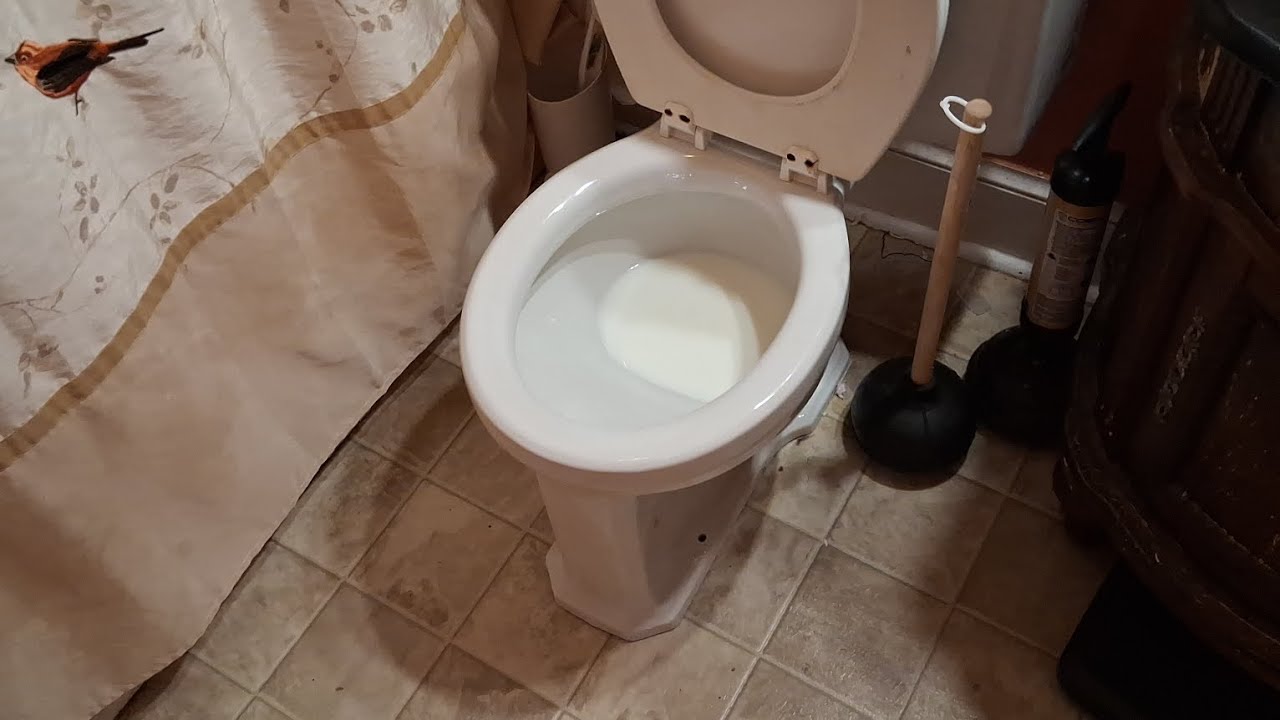 Flushing Expired Milk Down The Toilet! - YouTube