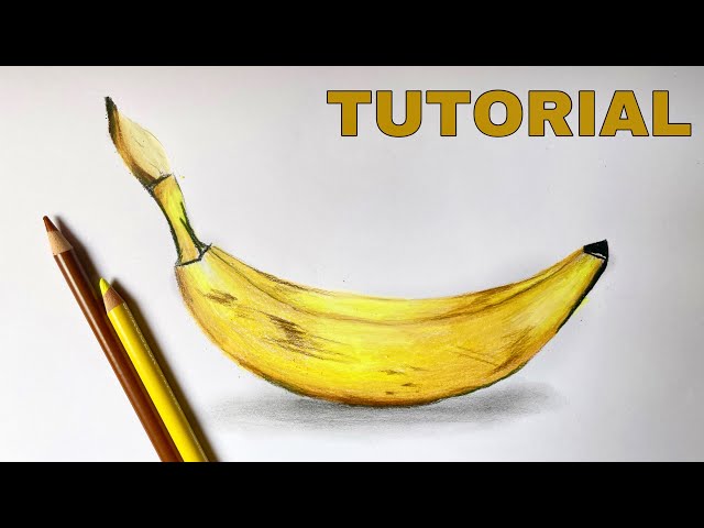 Banana Line Drawing Plant Fruits, Plant Drawing, Fruit Drawing, Wing Drawing  PNG and Vector with Transparent Background for Free Download