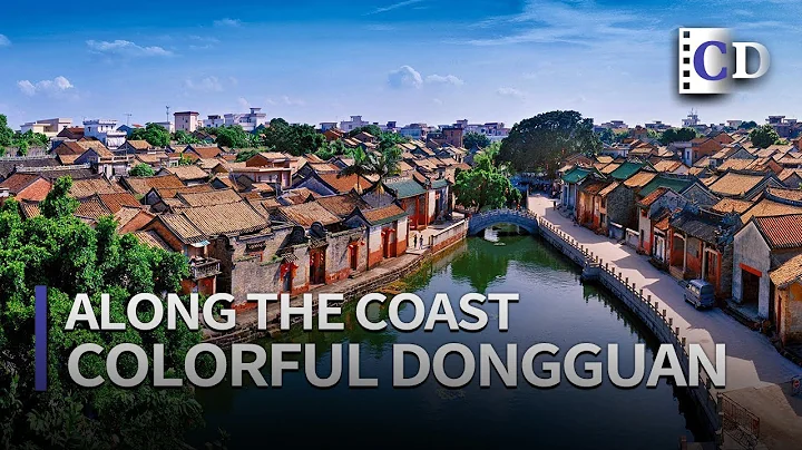 Dongguan, a Colorful City「Along the Coast」 | China Documentary - DayDayNews