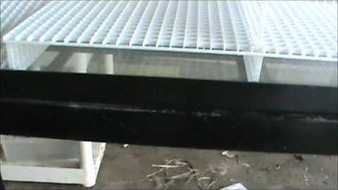 40 Gal. Long Dart Frog Viv. Part 1