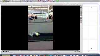 Famous Video Analysis Next Steps Tutorial Profile
