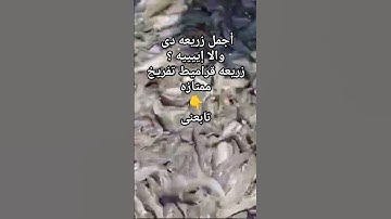‏‏أَلَمْ نَجْعَل لَّهُ عَيْنَيْنِ وَلِسَانًا وَشَفَتَيْنِ / سوره البلد  / عبد الباسط عبد الصمد