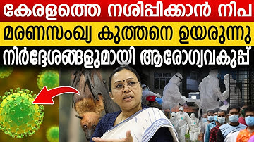 കേരളത്തിൽ നിപ വൈറസ് വ്യാപനം തുടരുന്നു ; ജാഗ്രത നിർദ്ദേശങ്ങളുമായി ആരോഗ്യവകുപ്പ് | Nipa Virus