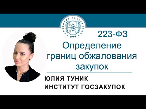 Определение границ обжалования закупок по Закону 223-ФЗ, 15.02.2024