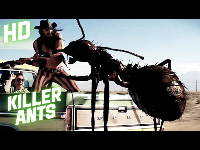 Killer Ants | Horror | HD | Full movie in English class=