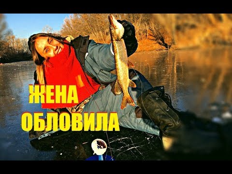 Первый лед – окунь ждет затем, выйдя на улицу Первый лед – окунь ждет затем, выйдя на улицу