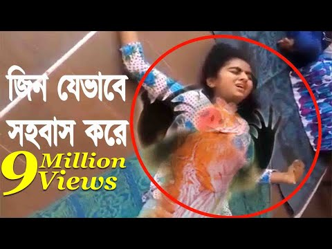 ভিডিও: Kirzachs সম্পর্কে একটু