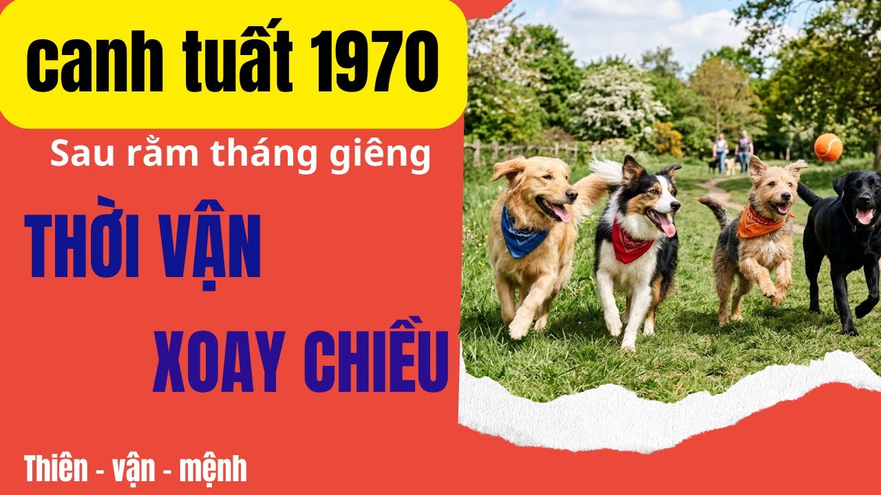 VẬN MỆNH THAY ĐỔI CON GIÁP CANH TUẤT 1970 SAU RẰM THÁNG GIÊNG ĐÁNH ĐÂU THẮNG ĐÓ!