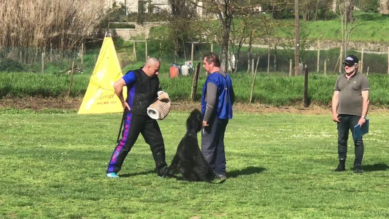 Campionato Sociale 2018 - DIFESA