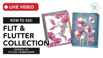 Flutter Into Creativity with Taylor!