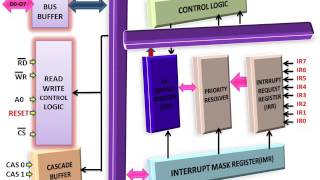 Famous 8259A Internal Architecture(Microprocessor Lecture) Profile
