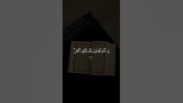 الشيخ ماهر المعيقلي سورة النور #ماهر_المعيقلي #راحة_نفسية