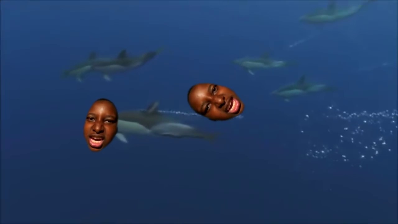 Yeah Boy Shooting Stars YouTube