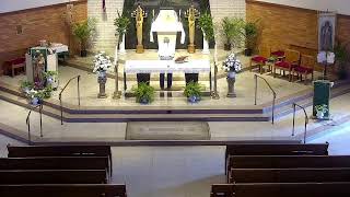 Live Stream 4:30 pm Mass The 11th Sunday in Ordinary Time - GB (One License A-612811)
