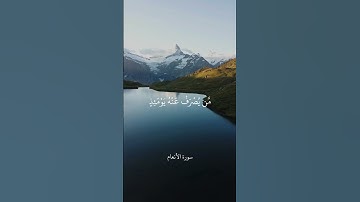 قُلْ إِنِّي أَخَافُ إِنْ عَصَيْتُ رَبِّي عَذَابَ يَوْمٍ عَظِيمٍ || سورة الأنعام || علي جابر