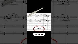 Lots of decisions 😌 #composer #orchestration #orchestra #woodwind #classicalmusic