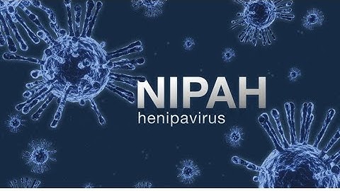 Nipah Virus: The Deadly Disease You Need to Know