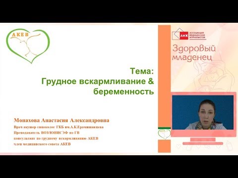 Монахова А.А. "Грудное вскармливание & беременность"