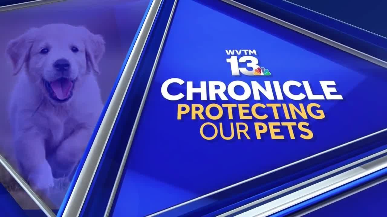 WVTM 13 Chronicle: Protecting Our Pets