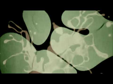 Ivan The Tolerable - The Contrarian' (2019)