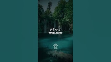 وأما الذين ابيضت وجوههم ففي رحمة اللَّهِ هم فيها خالدون۝‏ #وديع_اليمني #سورة_آل_عمران #القرآن_الكريم