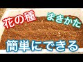 【農業】花の種をまく