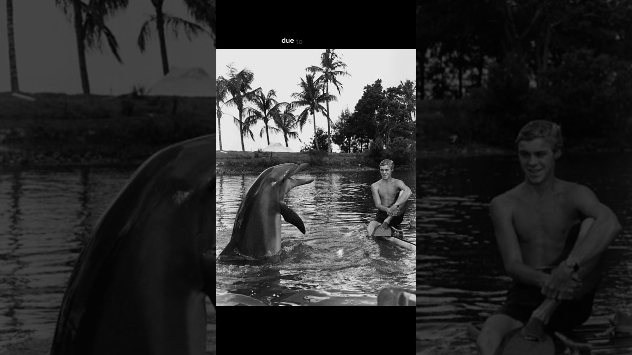 The tragic story of the dolphin from “Flipper” 🐬